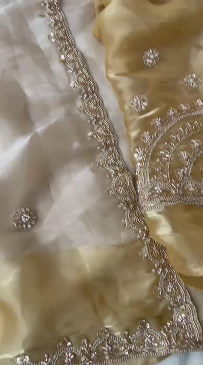 Aurelia Noor Champagne Gold Tissue Lycra Saree with Dual Tone Coding Work & Designer Border